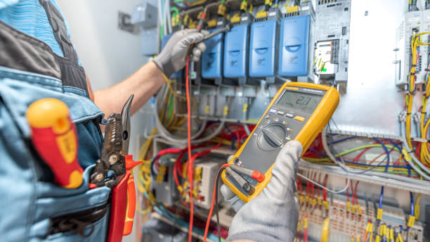 Best Electrical Repair Services  in Allendale, MI