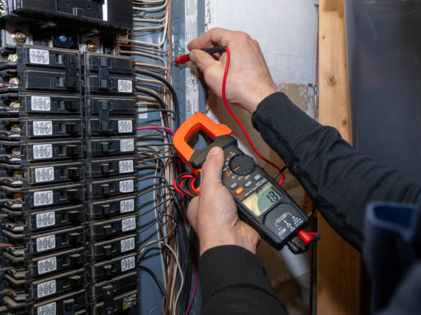 Best Licensed Electrician  in Allendale, MI